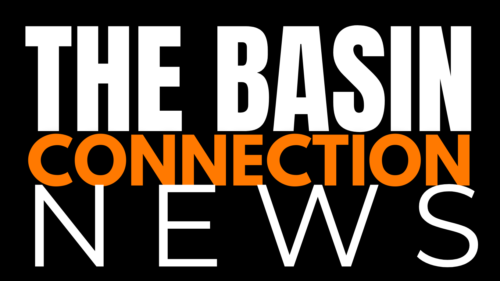Newsletter (75)